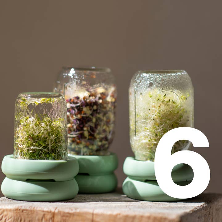 Eco warehouse - Wholesale Kitchen Tool/Gadget - Sprout Huggers ® Sage Green10