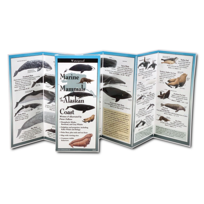 Earth Sky + Water - Wholesale Nature & Outdoors Book - Marine Mammals Alaska1