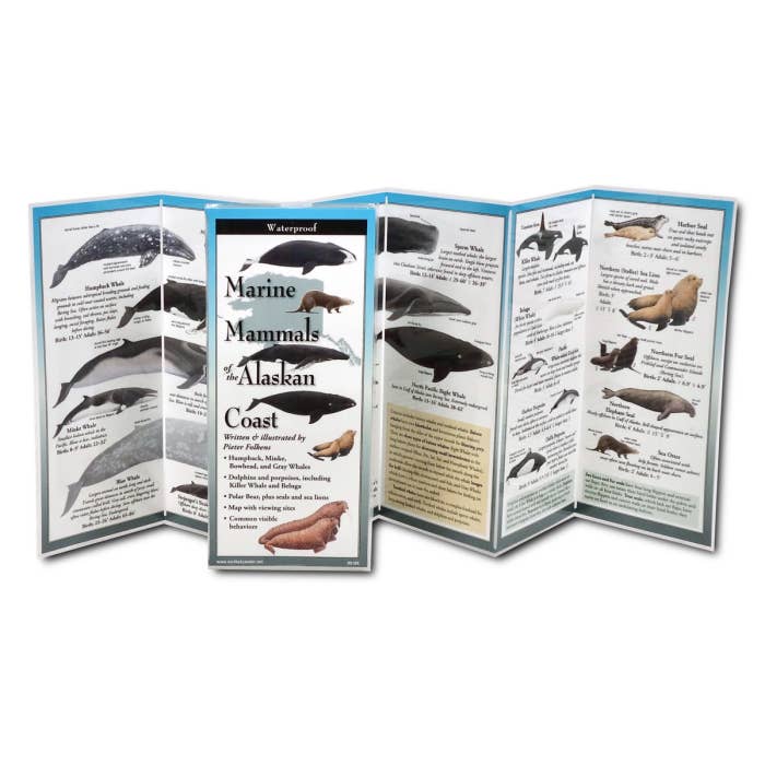 Earth Sky + Water - Wholesale Nature & Outdoors Book - Marine Mammals Alaska1