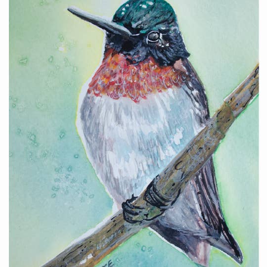 Carte de vœux en forme de colibri, intérieur vierge #KC10C pour la vente par Kellie Chasse Fine Art