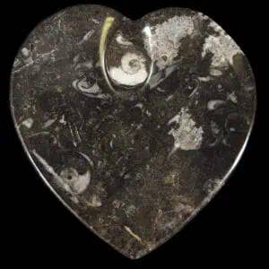 Cold River Mining - Wholesale Decorative Plate/Dish/Bowl - Orthoceras Heart Dish - Sold By Piece3