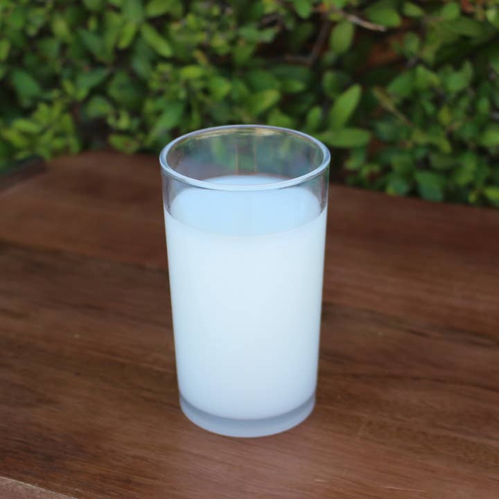 Just Dough It! Fake Foods - Wholesale Decorative Tabletop Object - Fake Glass of Milk