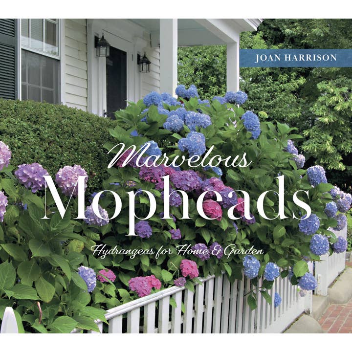 Marvelous Mopheads : des hortensias pour la maison et le jardin et autres tendances Résultats pour terreau à vendre en vente B2B. Retours gratuits et paiement à 60 jours sur Faire sur Faire.
