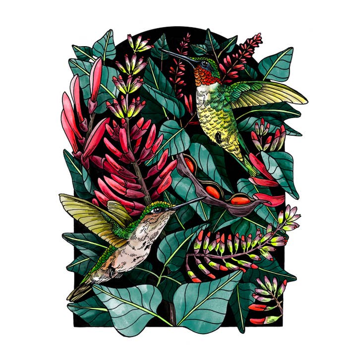 Mattea - Vente Affiche d'art - Impression artistique 8 x 10 cm avec des colibris à gorge rubis et des plantes mamou1