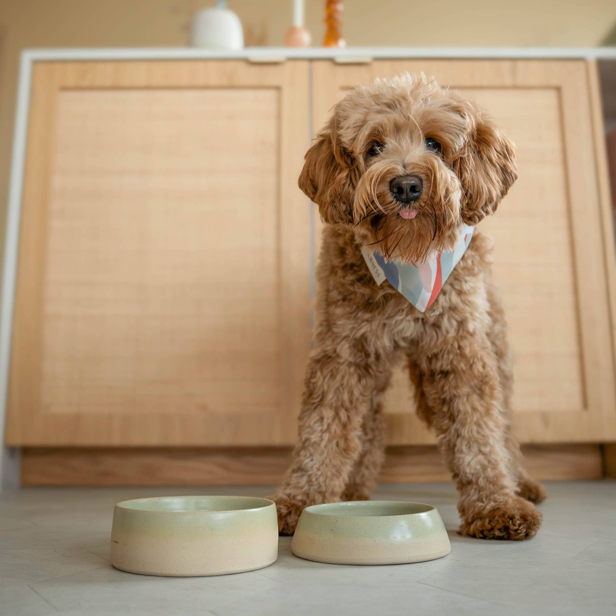 Emerald Slow Feeder Dogs for wholesale on Faire5