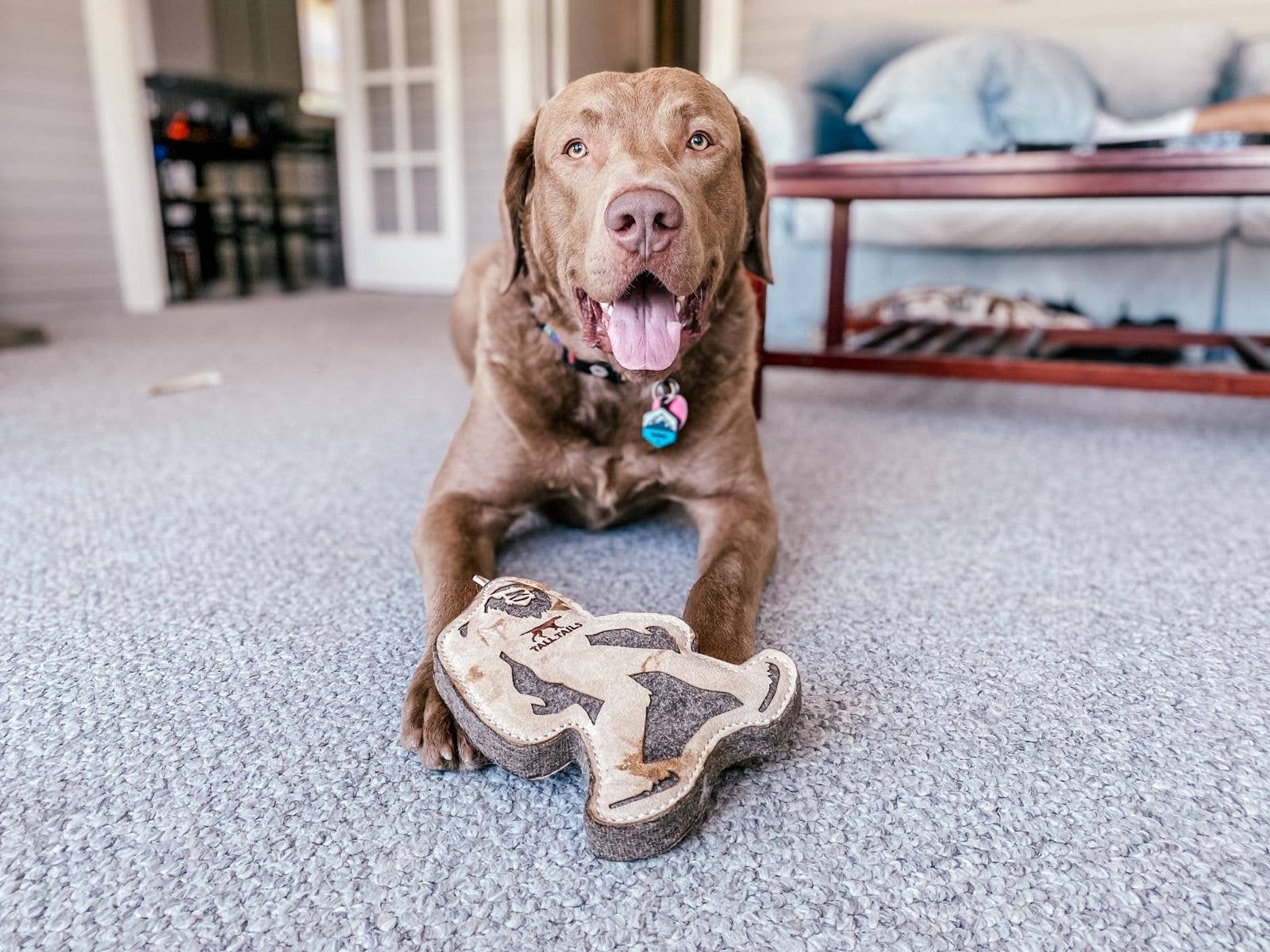 Tall Tails - Wholesale Pet Toy - Dog - Tall Tails Natural Leather & Wool Big Jr. - 9"3