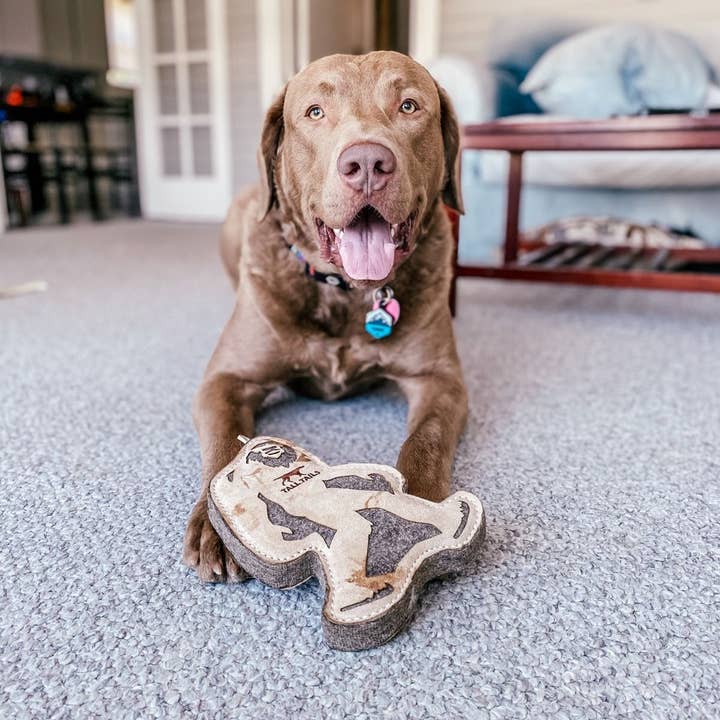 Tall Tails - Wholesale Pet Toy - Dog - Tall Tails Natural Leather & Wool Big Jr. - 9"3