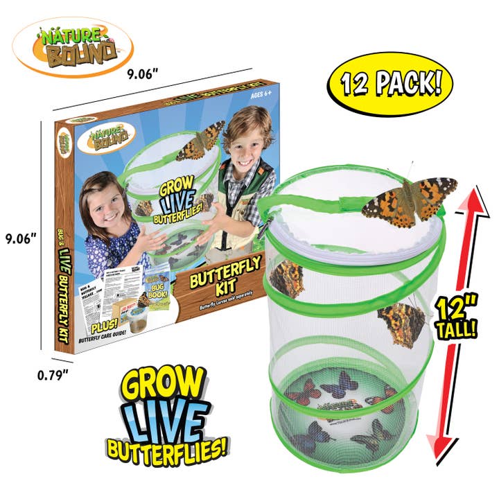 Thin Air Brands - Wholesale Toy Set - Kids - Butterfly Kit in PDQ6