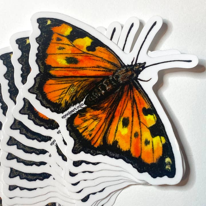 California Tortoiseshell Butterfly Vinyl Sticker for wholesale by Emily Poole Illustration