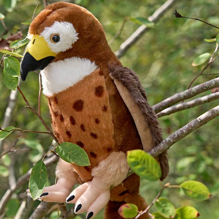 The Petting Zoo - Wholesale Stuffed/Plush Toy - Kids & Baby - 12" (30cm) Wild Onez Red-tailed Hawk Hawk Bird wild life2