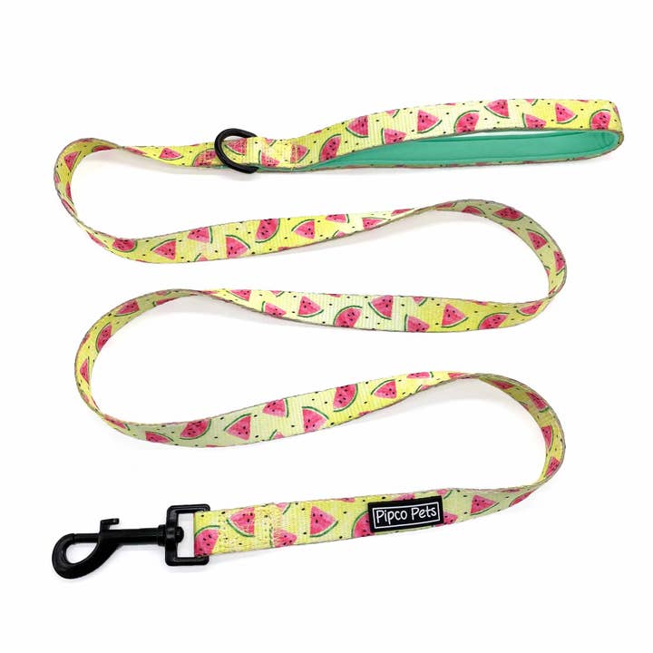 Pipco Pets - Wholesale Pet Harness - Dog - 4-Piece Walkies Bundle: Summer Melons