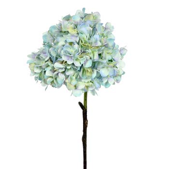Purchase Wholesale blue dried flowers. Free Returns & Net 60 Terms on Faire