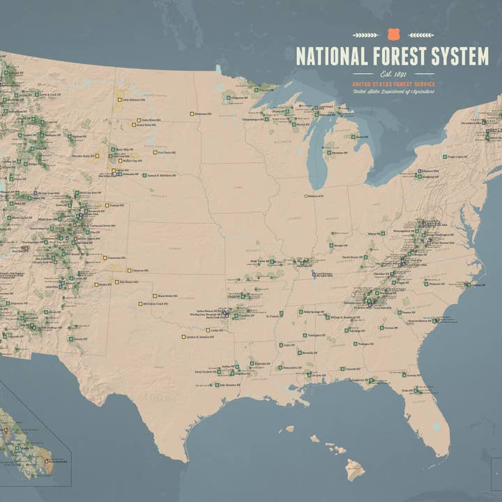 US National Forest System Map 24x36 Poster for wholesale by Best Maps Ever