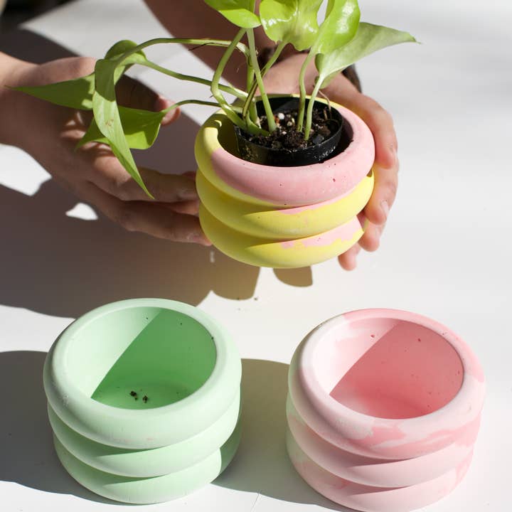 The Plant Committee - Wholesale Plant Pot - Mini Bubble Pot
