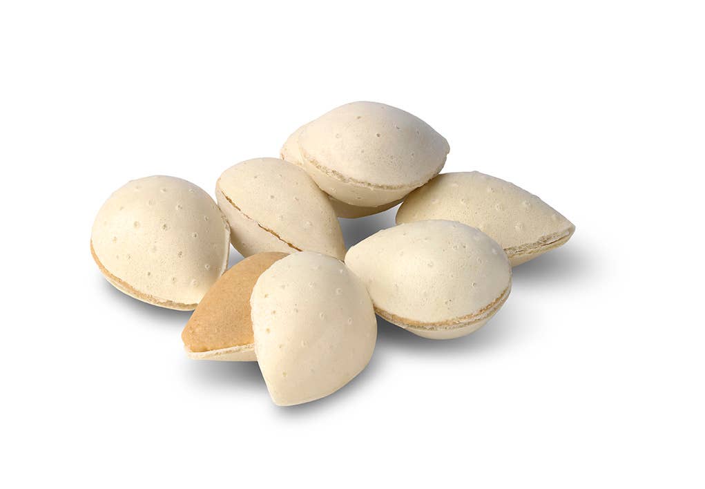 CASTILLO DE JIJONA - Wholesale Nougat - Almonds Stuffed with Peanut Nougat (70% peanut)1