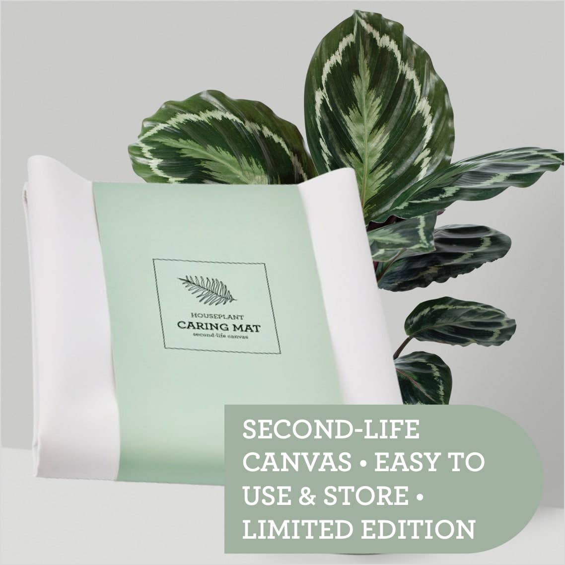 Generosa - Venta al por mayor Tierra de plantar/abonada - PLANT CARING MAT | Lona de lona para macetas Second-life, 60 x 70 cm2