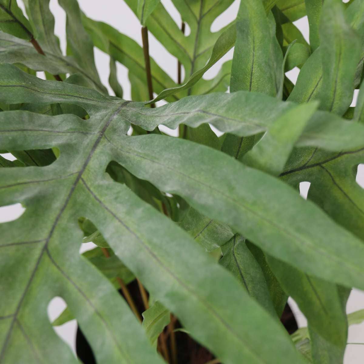 Oasis of Life - Vendita all'ingrosso Piante artificiali - Felce artificiale – 80 cm di altezza – Pianta artificiale premium – Felce realistica in blu-verde – Senza manutenzione e durevole – Per soggiorno, ufficio e decorazione moderna.4