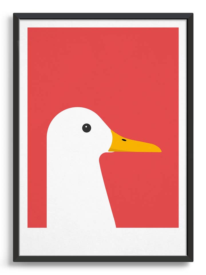 White duck for wholesale by Rocket Jack