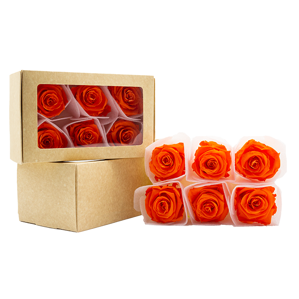 Concari.flores Preservadas - Wholesale Artificial Flowers - SPLENDID ROSE PRESERVED IN VARIOUS SHADES6
