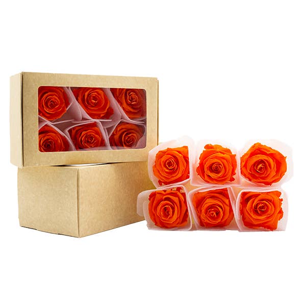 Concari.flores Preservadas - Wholesale Artificial Flowers - SPLENDID ROSE PRESERVED IN VARIOUS SHADES6