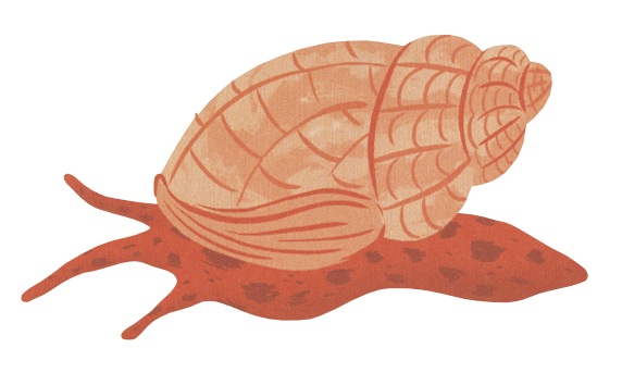 EDC Publishing - Vente Livre pour enfants de maternelle (de 3 à 5 ans) - Shine-A-Light : Les secrets du bord de mer4