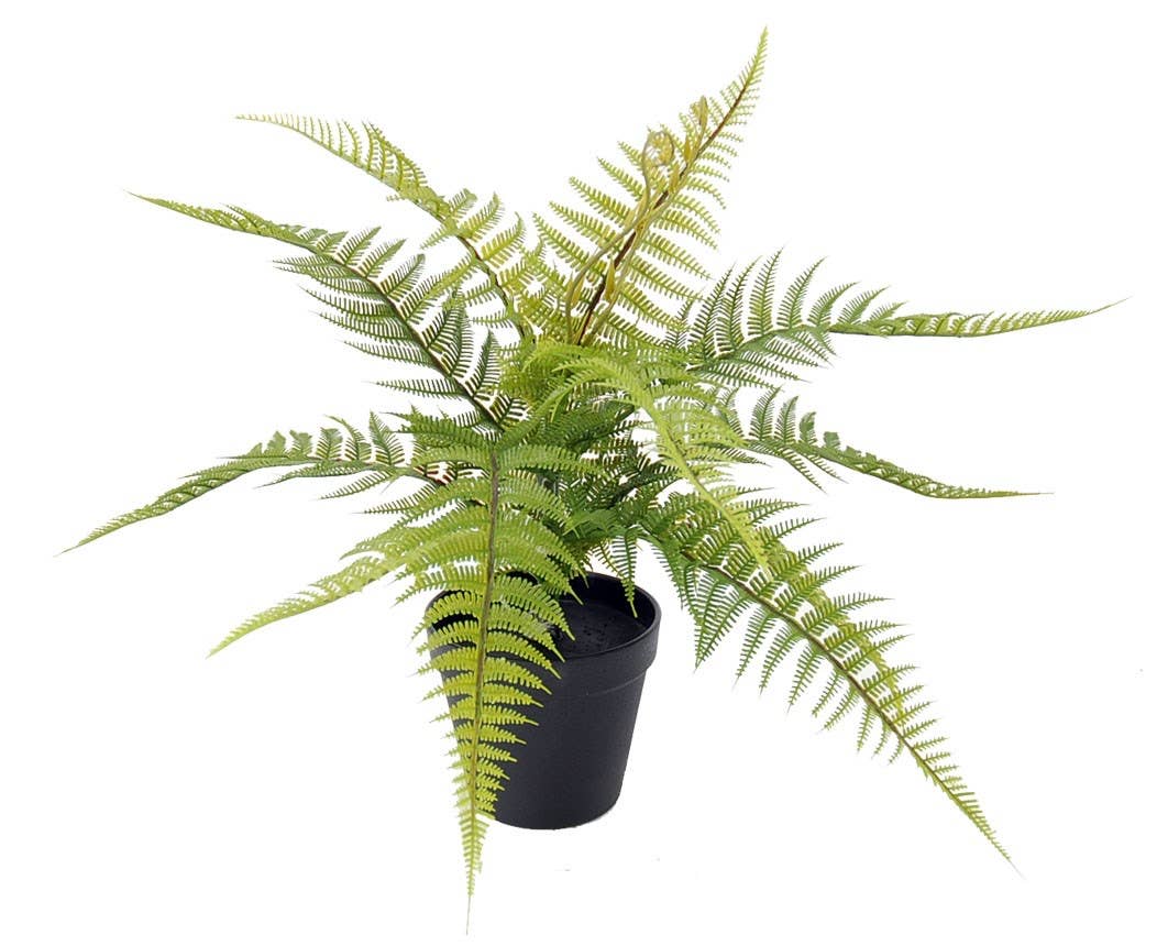 Aguilar Málaga - Wholesale Artificial Plant - Plastic Fern. 50cm C/M 10X12