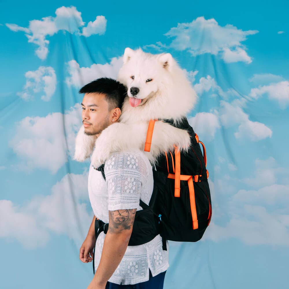 Negro Mochila Brodie One Big Dog de venta al por mayor en Faire13