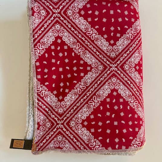 Picnic Bandana Blanket for wholesale by Finnegan’s Standard Goods