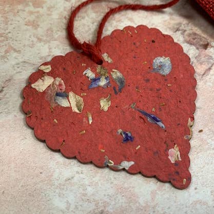 Regalo plantable de corazón festoneado para venta al por mayor de Plant a Bloomer