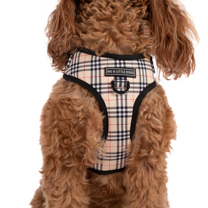 Big and Little Dogs - Wholesale Pet Harness - Dog - ADJUSTABLE DOG HARNESS: Nova Plaid