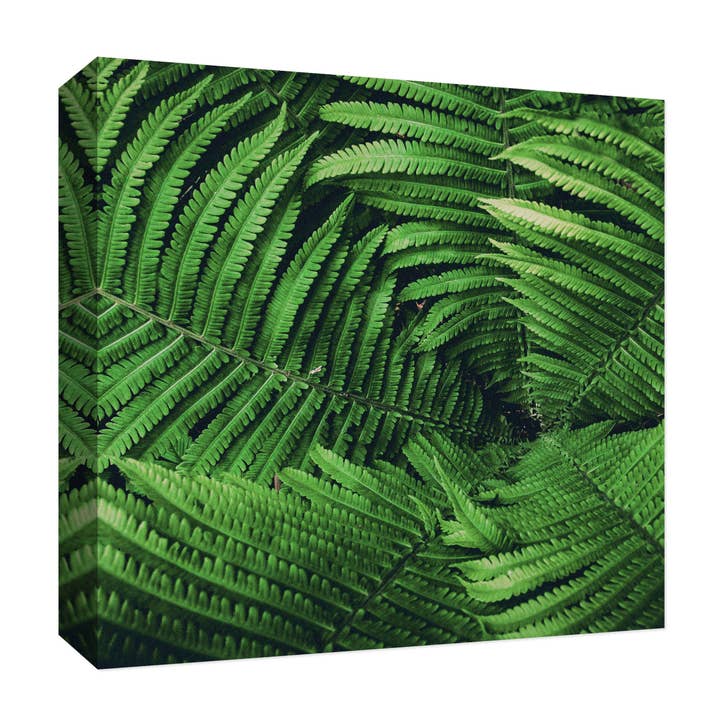 Natural Green 22'' x 22'' Canvas Wall Art for wholesale by PTM Images