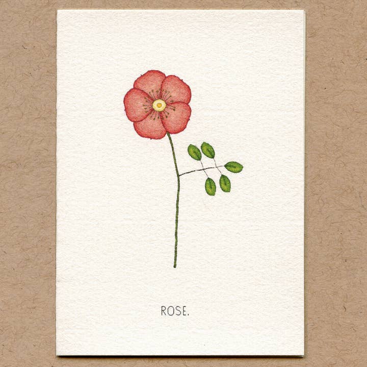 Rose-Greeting Card. for wholesale by Beth Mueller