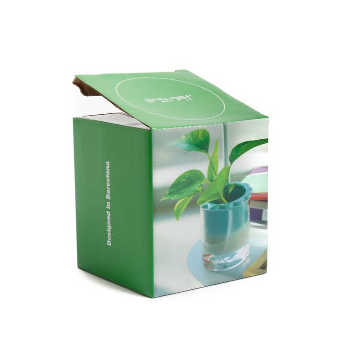 Helio Ferretti - Wholesale Vase - HYDROPONIC VASE CELESTINA HF3