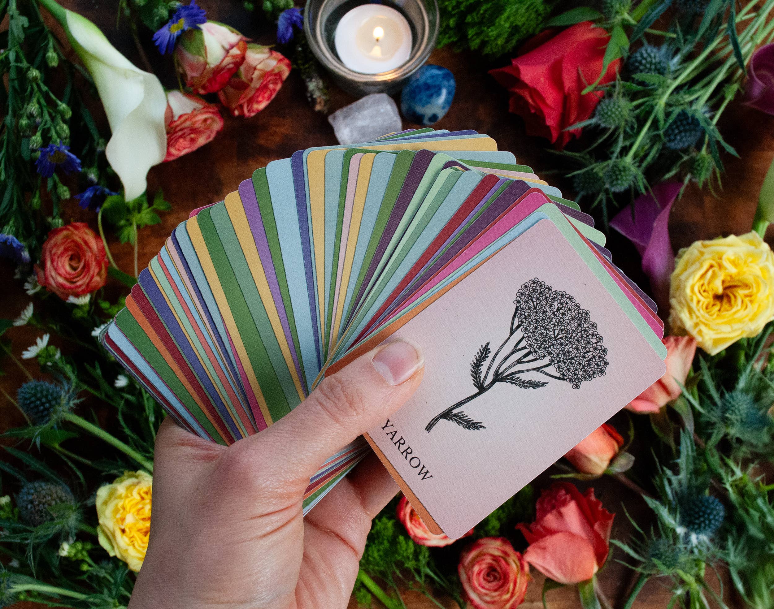 Velvetback - Wholesale Tarot Cards - 2.5" x 3.5" 60-Card Botanical Poetry Oracle Deck4
