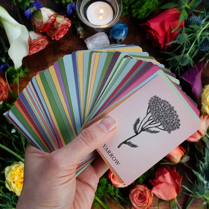 Velvetback - Wholesale Tarot Cards - 2.5" x 3.5" 60-Card Botanical Poetry Oracle Deck4