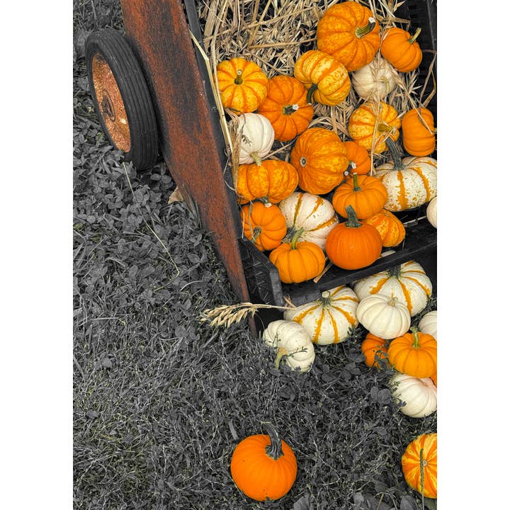 z Fotografia di Cartolina d'Auguri Zucche_01 per la vendita all'ingrosso da parte di PhotoWord Art