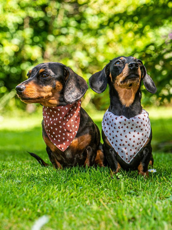 Bandana Hundehalsband für den Großhandel von Frankie and Dottie's