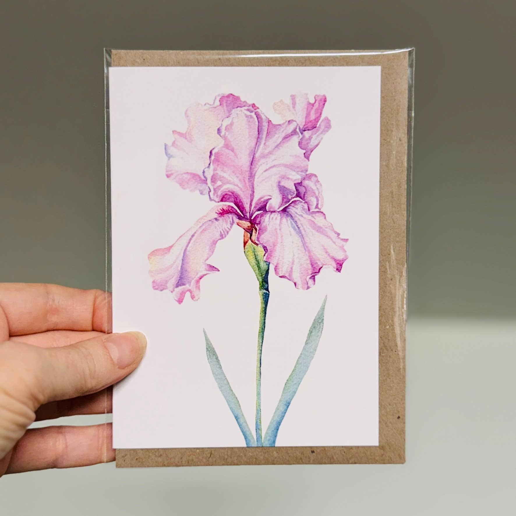 Scattered Seed Co - Wholesale Stationery/Notecard Set - IRIS greeting cards set of 4 Mini or Regular size12