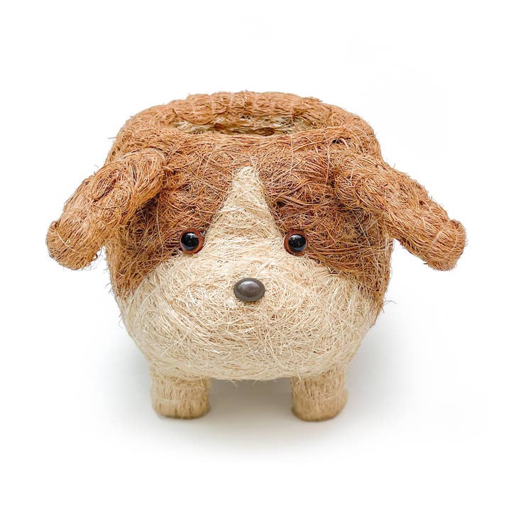 Beagle por atacado de yumi