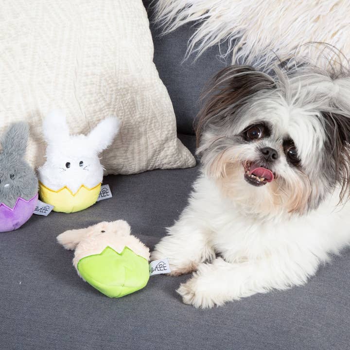 Midlee Designs - Vente Peluche – chien - Midlee Designs Jouets pour chiens œufs lapin de Pâques - Lot de 32