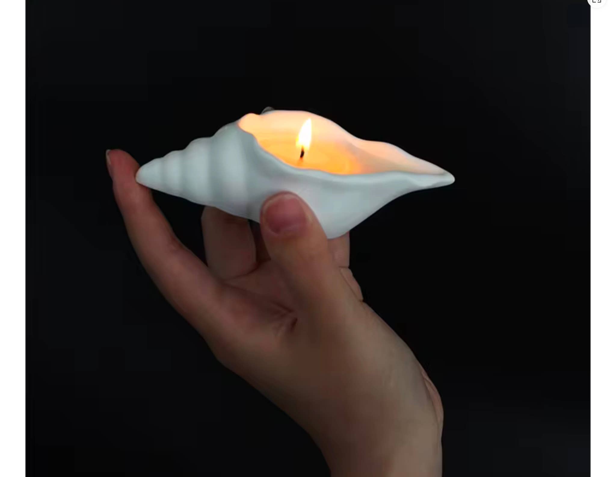 Agua Benta - Vente Bougies originales - Bougie coquillage Caranguejo3