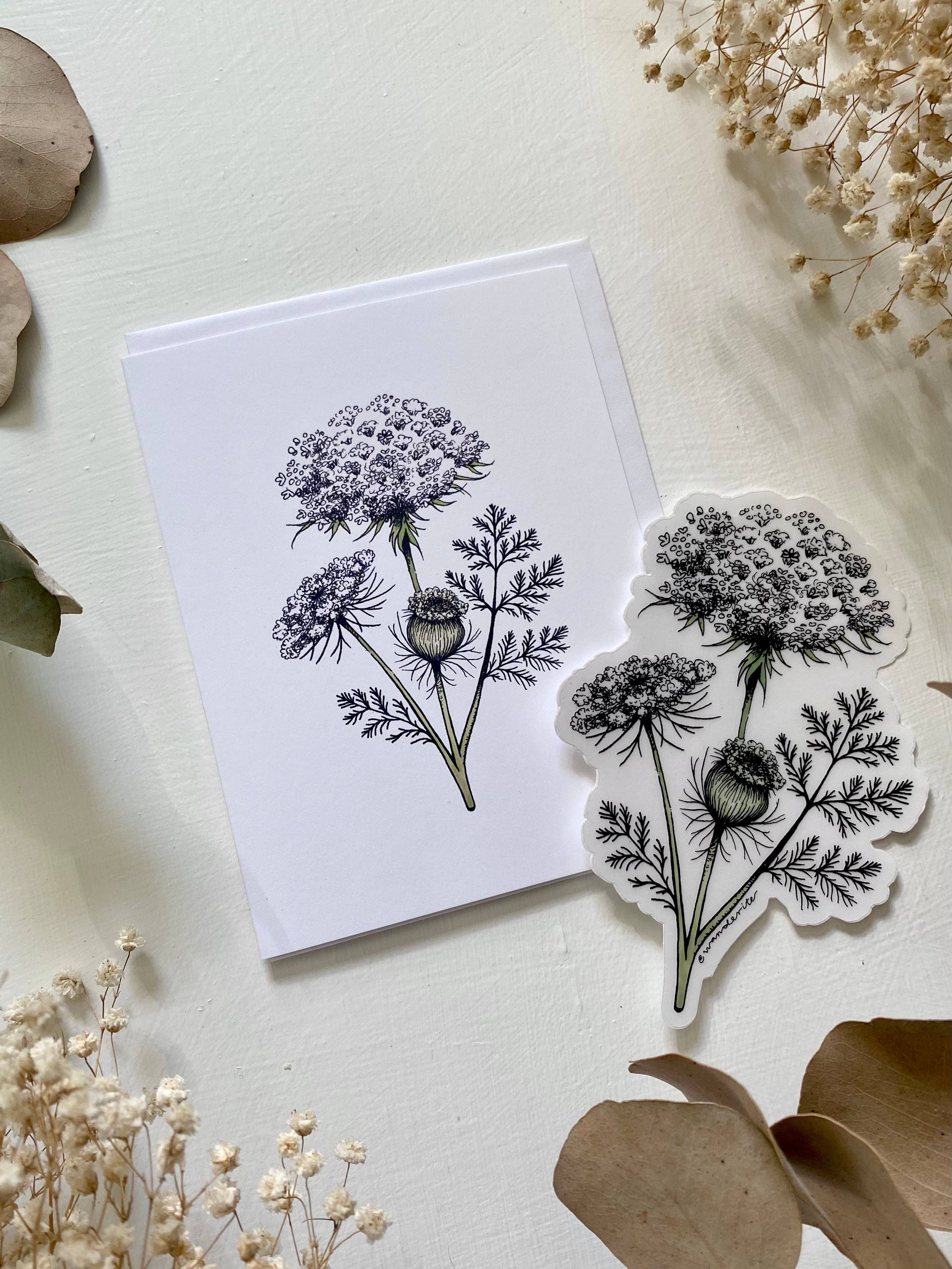 Wanderite – wholesale Everyday greeting card – Queen Anne's Lace Blank Card2
