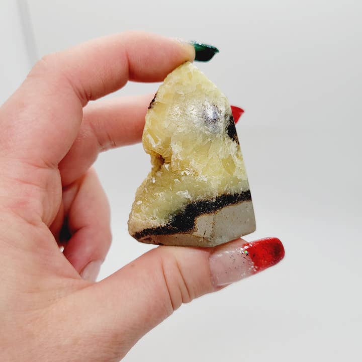 The Raven's Edge - Wholesale Spiritual Stone/Crystal - Septarian Stone Free form Crystal Standing Free form5