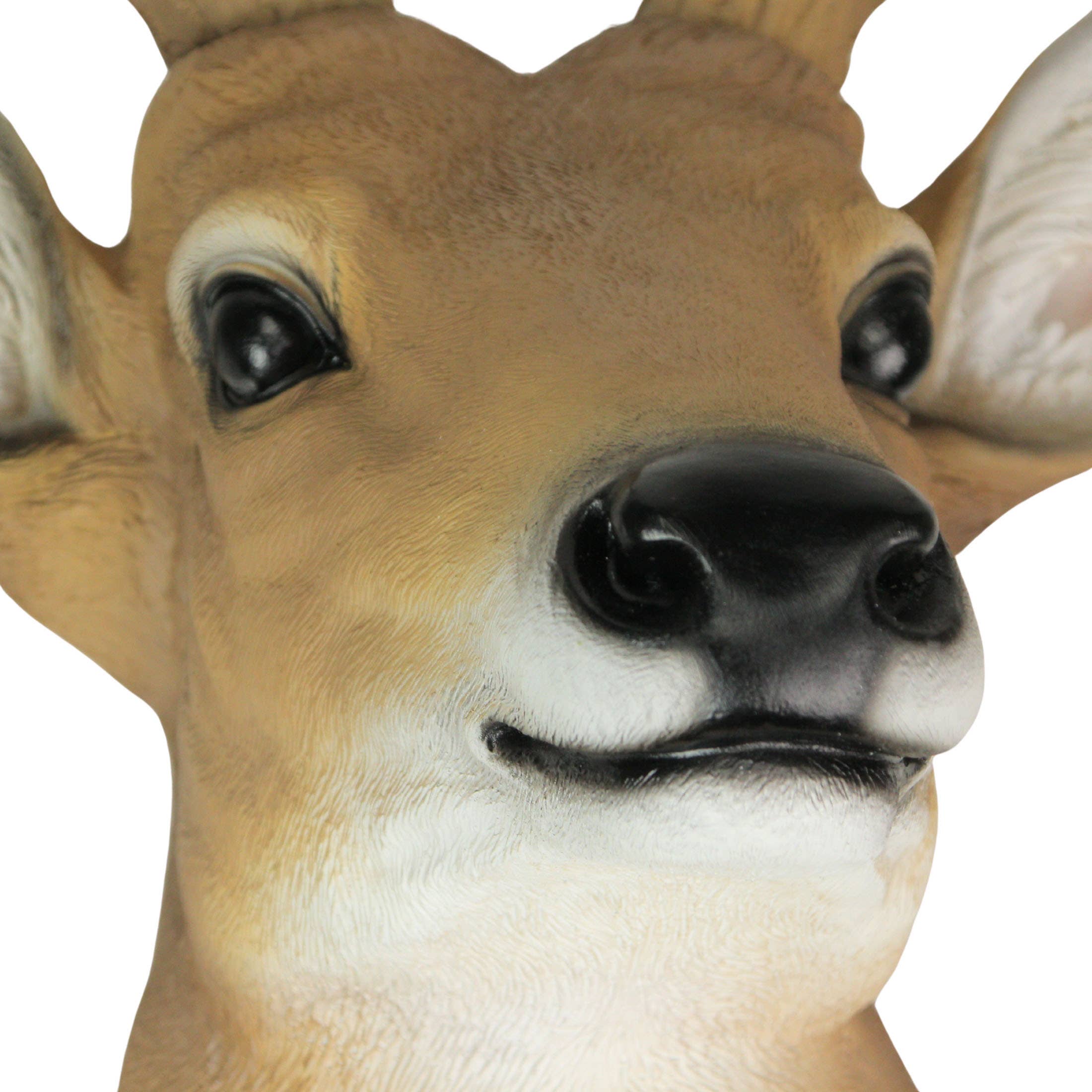 Zeckos - Wholesale Wall Accent - 12 Point Buck Deer Head Bust Wall Hanging 23.5 Inches8