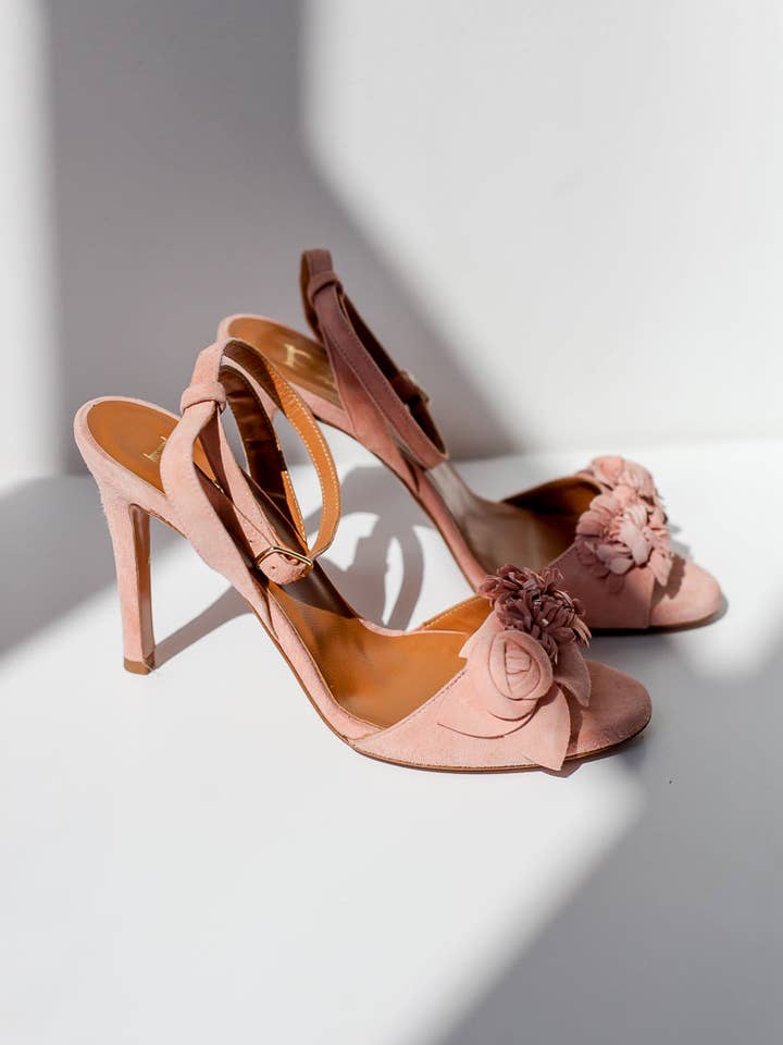 Rose Marylan pour la vente par s-120