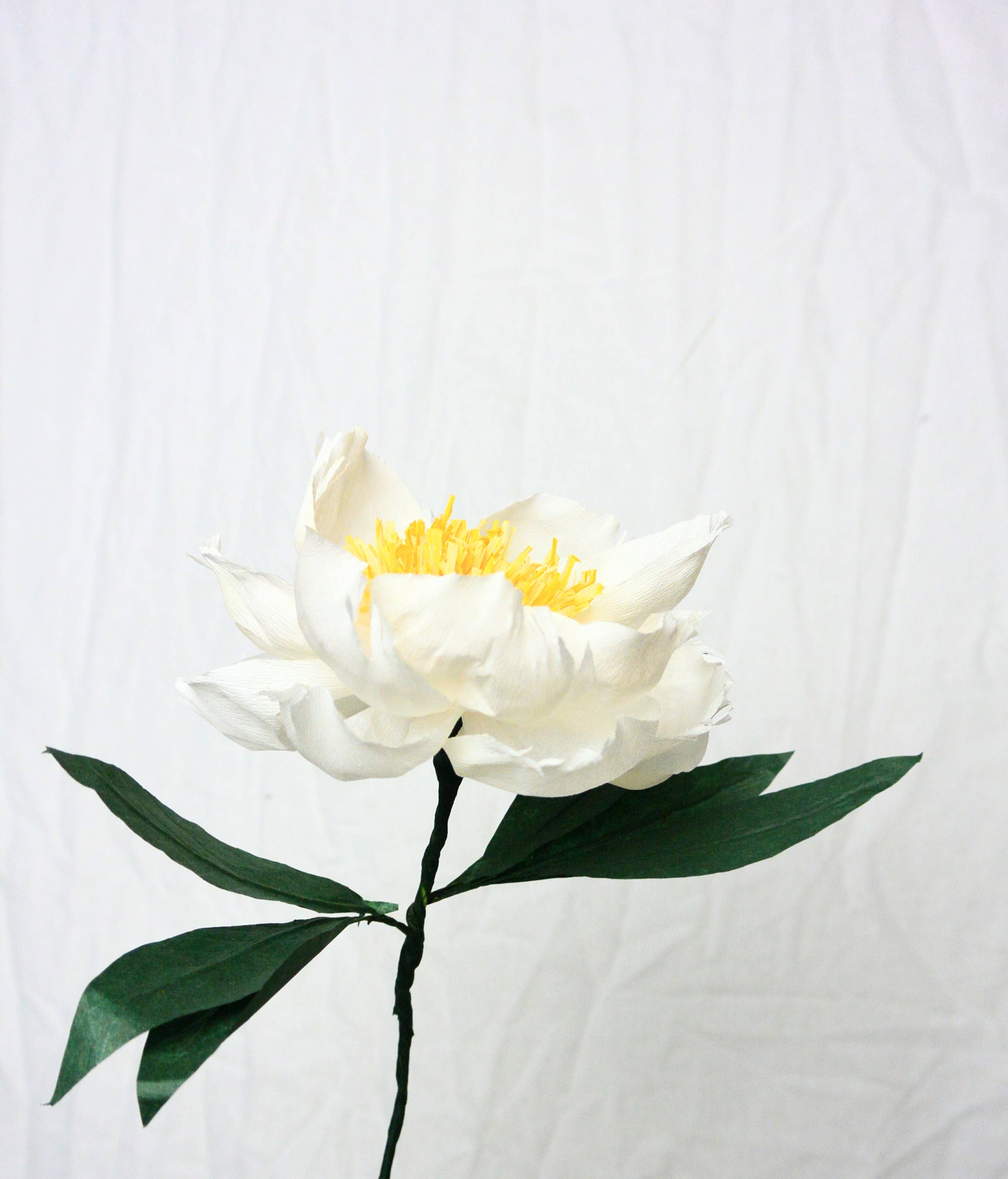 Beautiful Things By Bec - Wholesale Artificial Flowers - White Paper Peonies, Artificial Peonies, Fall Florals2