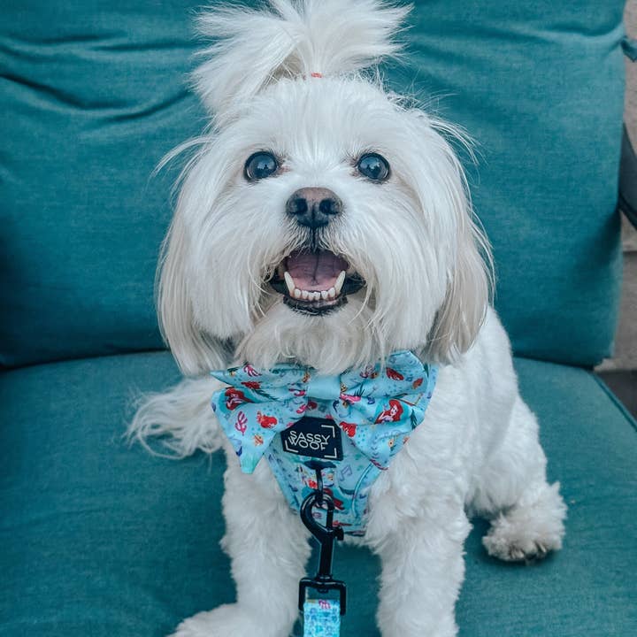 SASSY WOOF - Wholesale Pet Harness - Dog - Dog Adjustable Harness - Disney's Ariel8