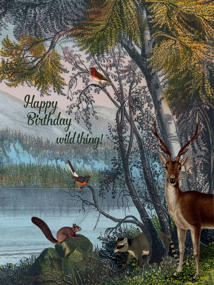 Buon compleanno Wild Thing • Biglietto di auguri 5x7 per la vendita all'ingrosso da parte di P. Flynn Design / Phun House