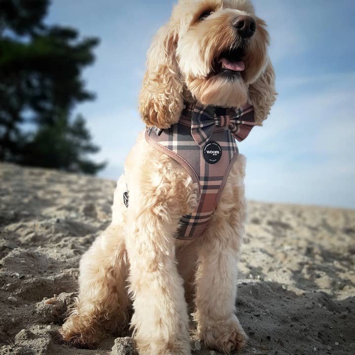 Woofs & Co - Wholesale Pet collar – Dog - Collar - Tartan Tan Beige Woof Collection - Halsband Tartan1