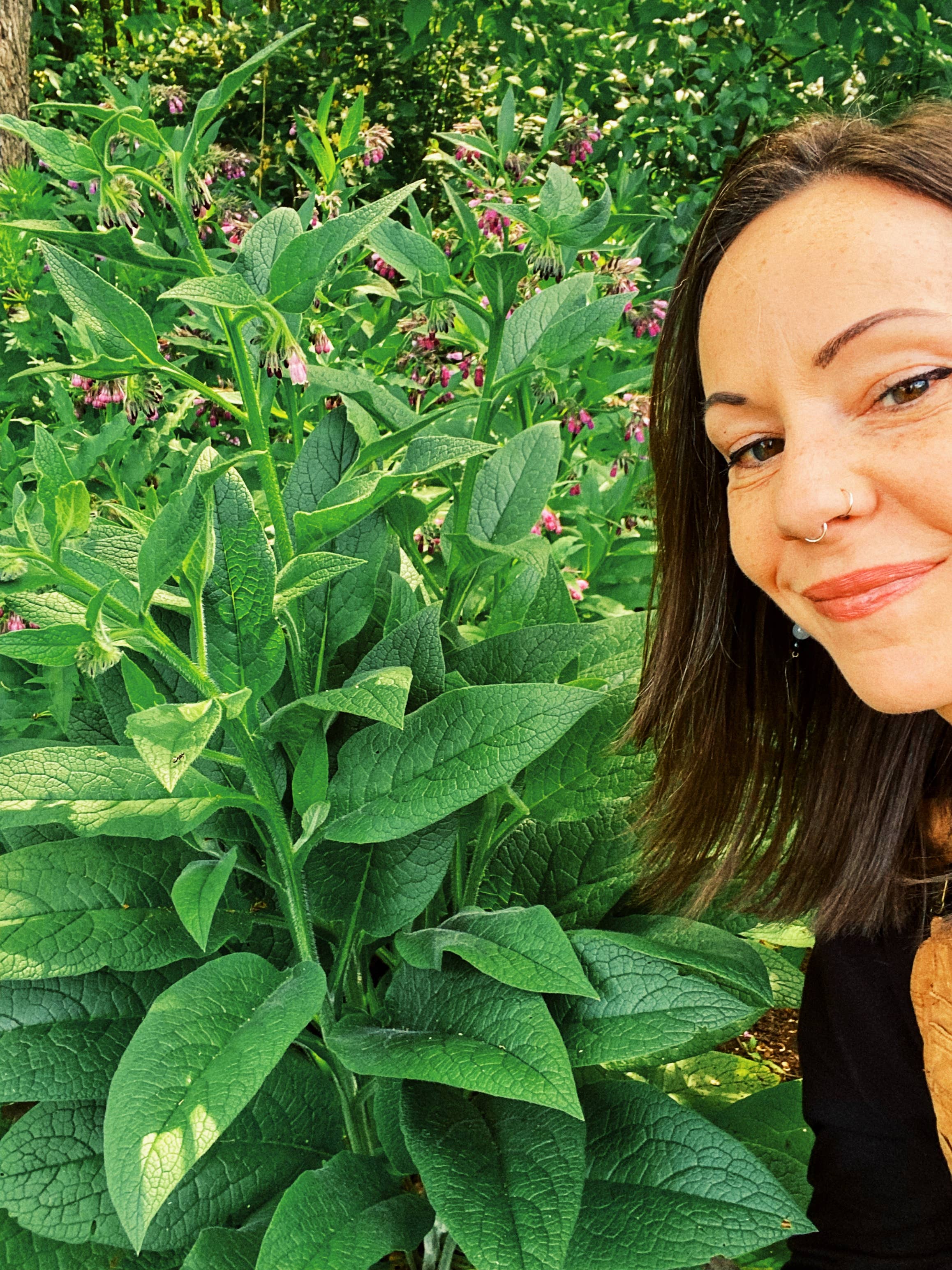 Mullein & Moon - Wholesale Healing Salve/Balm/Cream - Ditch the Itch Herbal Salve3